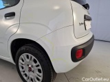  Fiat  Panda FIAT  / 2011 / 5P / BERLINA 1.2 69CV SeS E6D-TEMP EASY #38
