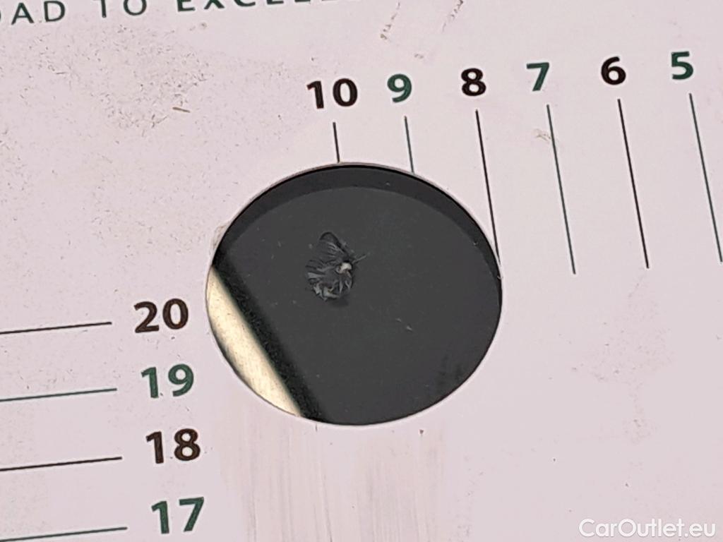  Skoda  Kodiaq  Business 2.0 TDI 150CV BVA7 E6d #11