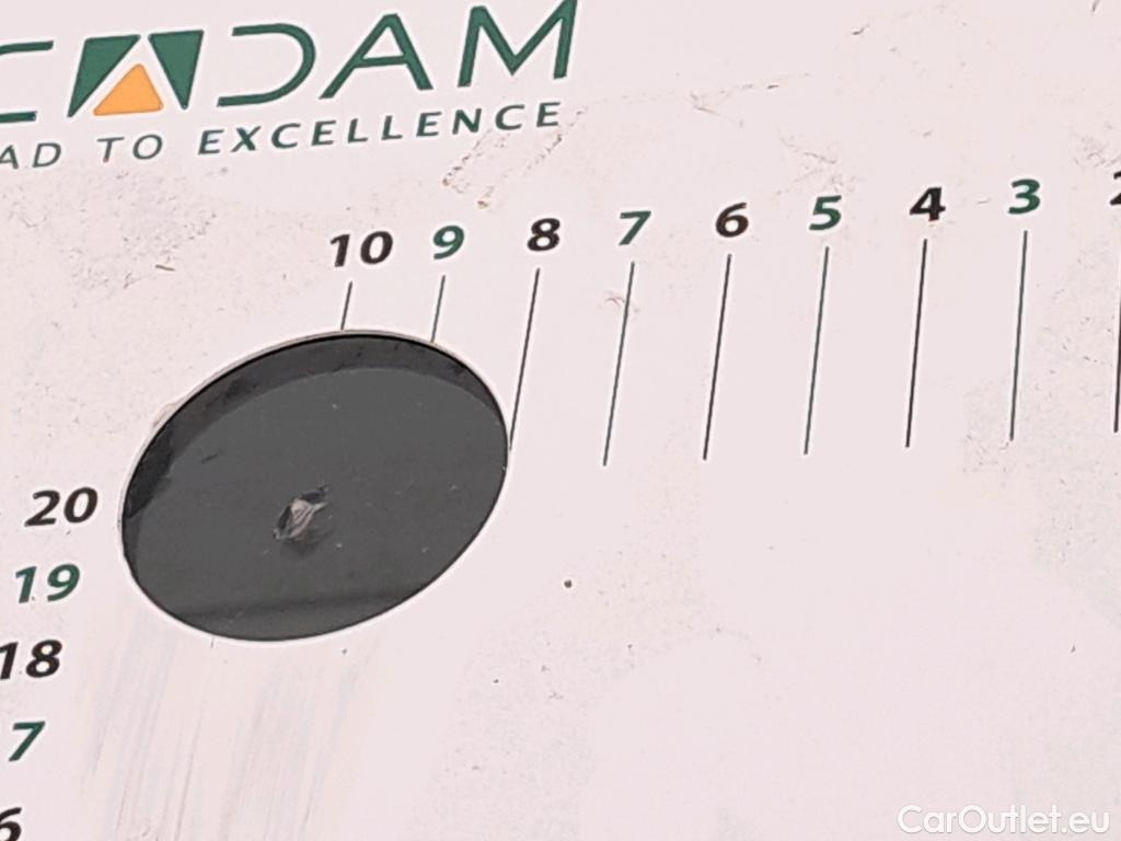  Skoda  Kodiaq  Business 2.0 TDI 150CV BVA7 E6d #9