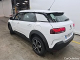 C4 Cactus