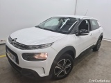C4 Cactus