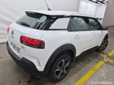 C4 Cactus