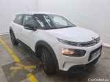 C4 Cactus