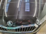  Skoda  Octavia  Combi First Edition 2.0 TDI 110KW AT7 E6dT #24