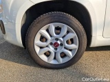  Fiat  Panda FIAT  / 2011 / 5P / BERLINA 0.9 TWINAIR TURBO NATURAL POWER EASY #17