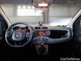  Fiat  Panda FIAT  / 2011 / 5P / BERLINA 1.2 69CV SeS E6D-TEMP EASY #3