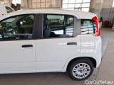  Fiat  Panda FIAT  / 2011 / 5P / BERLINA 1.2 69CV SeS E6D-TEMP EASY #44