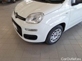  Fiat  Panda FIAT  / 2011 / 5P / BERLINA 1.2 69CV SeS E6D-TEMP EASY #46