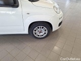  Fiat  Panda FIAT  / 2011 / 5P / BERLINA 1.2 69CV SeS E6D-TEMP EASY #54