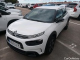 C4 Cactus