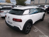 C4 Cactus