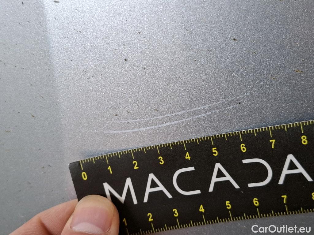  Skoda  Octavia  Break Business 2.0 TDI 115CV BVM6 E6d / TRANSFO VP/VF #14