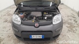  Fiat  Panda 1.0 FireFly 70cv S&S Hybrid #15