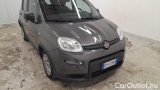  Fiat  Panda 1.0 FireFly 70cv S&S Hybrid #20