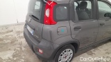  Fiat  Panda 1.0 FireFly 70cv S&S Hybrid #38