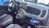  Fiat  Panda 1.0 FireFly 70cv S&S Hybrid #7