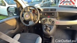  Fiat  Panda 1.0 FireFly 70cv S&S Hybrid #7