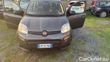  Fiat  Panda 1.0 FireFly 70cv S&S Hybrid #16