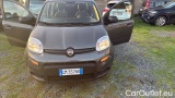  Fiat  Panda 1.0 FireFly 70cv S&S Hybrid #17