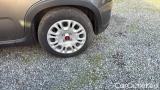  Fiat  Panda 1.0 FireFly 70cv S&S Hybrid #14