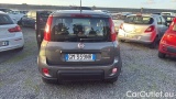  Fiat  Panda 1.0 FireFly 70cv S&S Hybrid #16