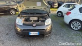  Fiat  Panda 1.0 FireFly 70cv S&S Hybrid #17