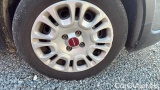  Fiat  Panda 1.0 FireFly 70cv S&S Hybrid #22