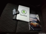  Skoda  Karoq 2.0 TDI SCR 4x4 DSG Style Automatic Diesel  161 #29