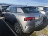 C4 Cactus