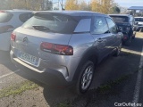 C4 Cactus