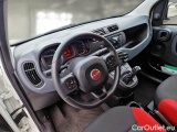  Fiat  Panda FIAT  / 2012 / 5P / BERLINA 900CC 85CV VAN EU6D 4X4 2P.POP #3