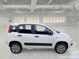  Fiat  Panda FIAT  / 2012 / 5P / BERLINA 900CC 85CV VAN EU6D 4X4 2P.POP #7
