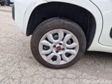  Fiat  Panda FIAT  / 2012 / 5P / BERLINA 900CC 85CV VAN EU6D 4X4 2P.POP #16