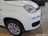  Fiat  Panda FIAT  / 2012 / 5P / BERLINA 900CC NATURAL POWER EURO6D VAN 2 P. POP #30