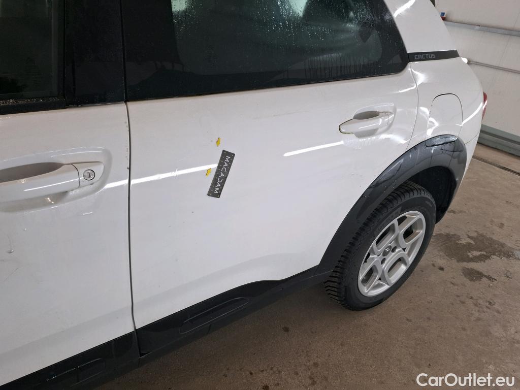  Citroen  C4 Cactus  Feel Business 1.2 PureTech 110CV BVM6 E6dT #8