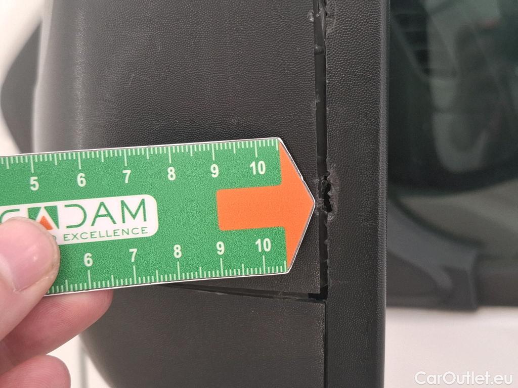  Renault  Trafic RENAULT  / 2019 / 4P / Fourgon tole NV FG GCF L1H1 1200 dCi 120 #21