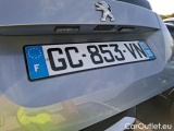  Peugeot  2008 1.5 BLUEHDI 110 S&S ACTIVE BUSINESS #5
