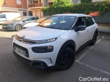 C4 Cactus