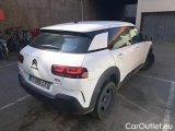 C4 Cactus