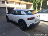 C4 Cactus