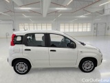  Fiat  Panda FIAT  / 2011 / 5P / BERLINA 1.0 FIREFLY 70CV SeS HYBRID #7