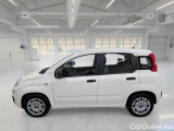  Fiat  Panda FIAT  / 2011 / 5P / BERLINA 1.0 FIREFLY 70CV SeS HYBRID #8