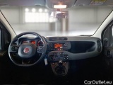  Fiat  Panda FIAT  / 2011 / 5P / BERLINA 1.2 69CV SeS E6D-TEMP EASY #3