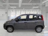  Fiat  Panda FIAT  / 2011 / 5P / BERLINA 1.2 69CV E6 EASY #8