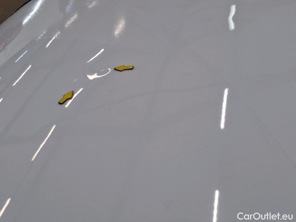  Renault  Kangoo  II Express Maxi Extra (Série Spéciale) 1.5 dCi 95CV BVM6 E6dT #14