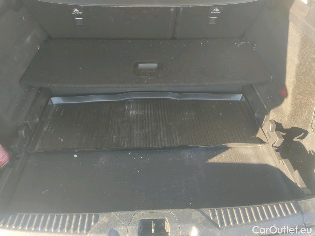  Ford  Focus  Sportbreak Trend Plus 1.5 EcoBlue 120CV MT6 E6d #6