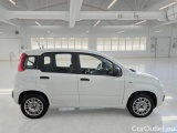  Fiat  Panda FIAT  / 2011 / 5P / BERLINA 1.2 69CV SeS E6D-TEMP EASY #7