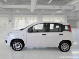  Fiat  Panda FIAT  / 2011 / 5P / BERLINA 1.2 69CV SeS E6D-TEMP EASY #8