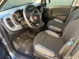  Fiat  Panda 1.2 69cv S&S E6d-Temp Easy Manual Petrol  1 #9