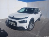 C4 Cactus